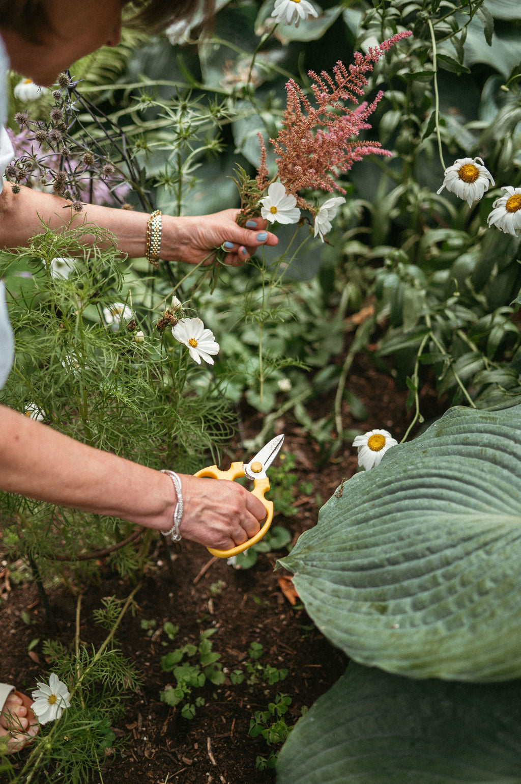 Two hands with cutting shears in a flower garden