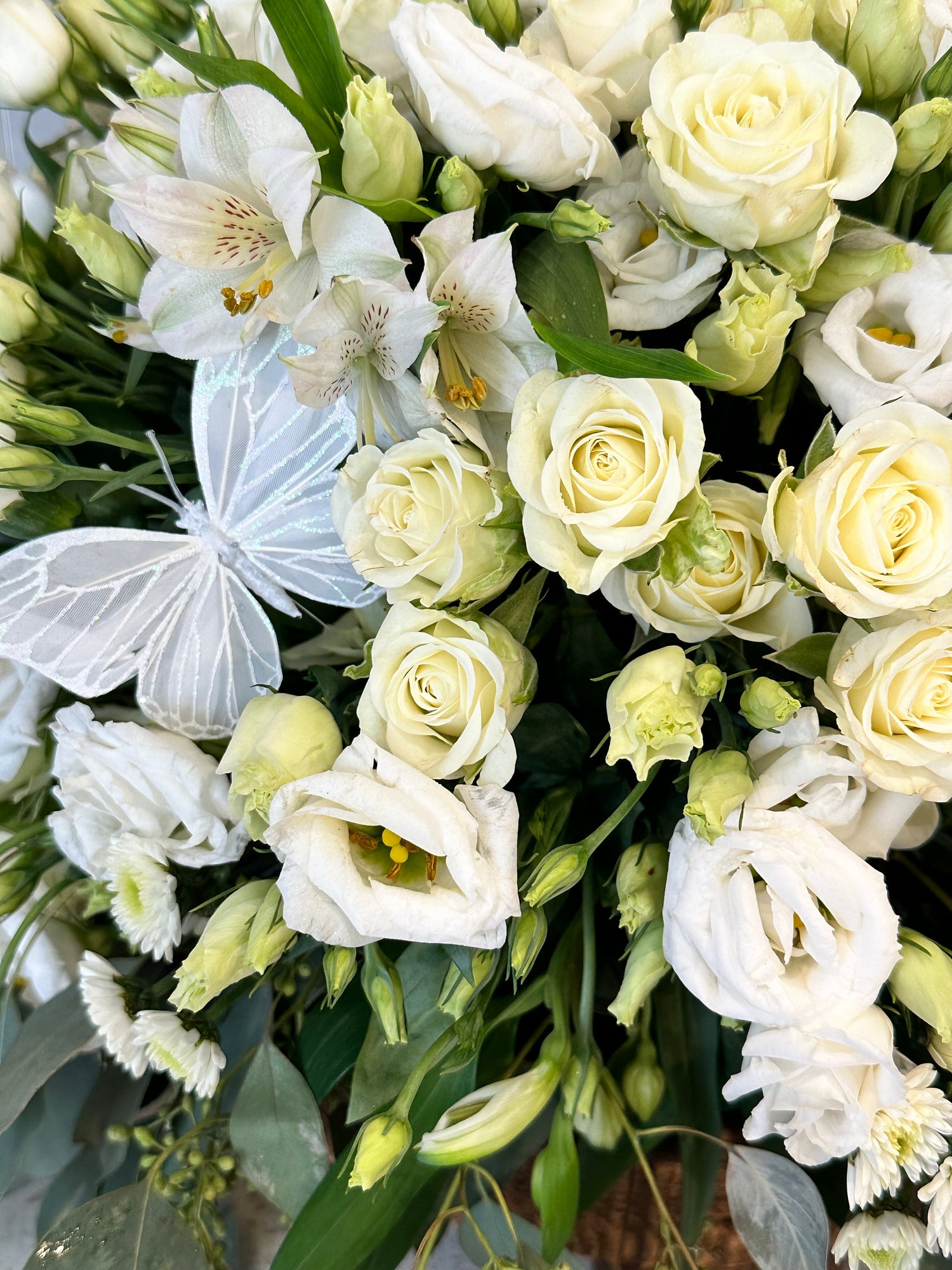 white roses with a white butterfly