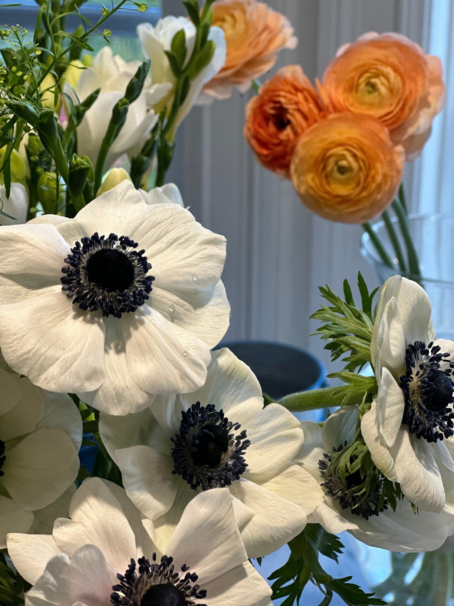 White Anomie Flowers beside Orange Ranunculus